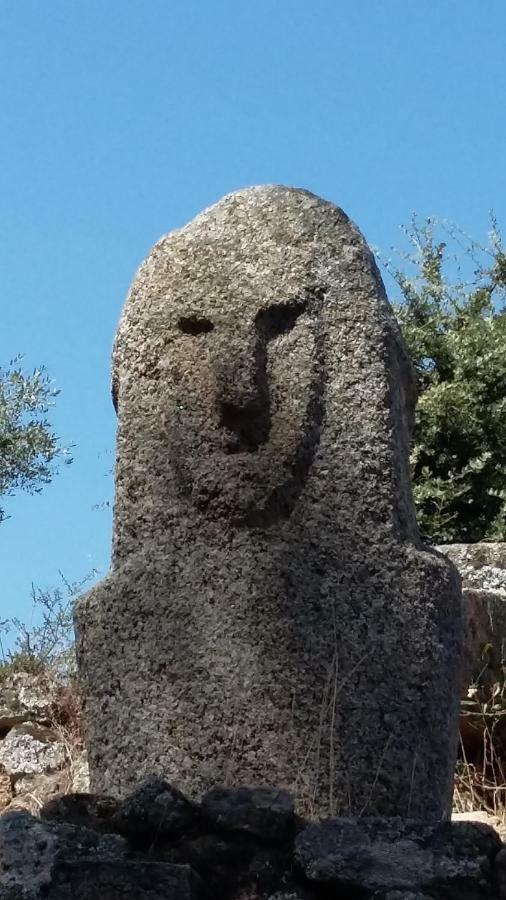 Corsica Monti Gite Appart Petreto-Bicchisano Bagian luar foto