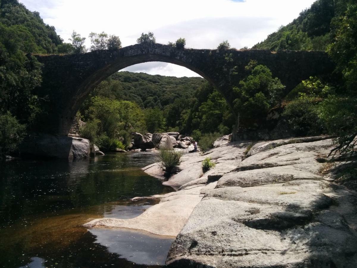 Corsica Monti Gite Appart Petreto-Bicchisano Bagian luar foto